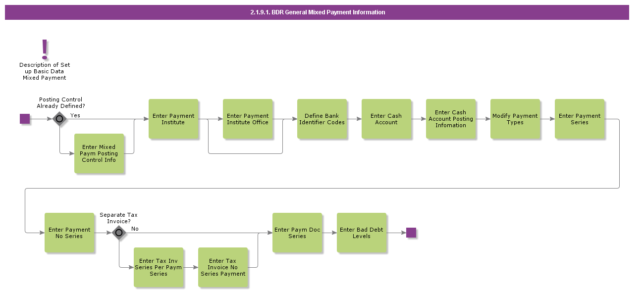 BDRGeneralMixedPaymentInformation
