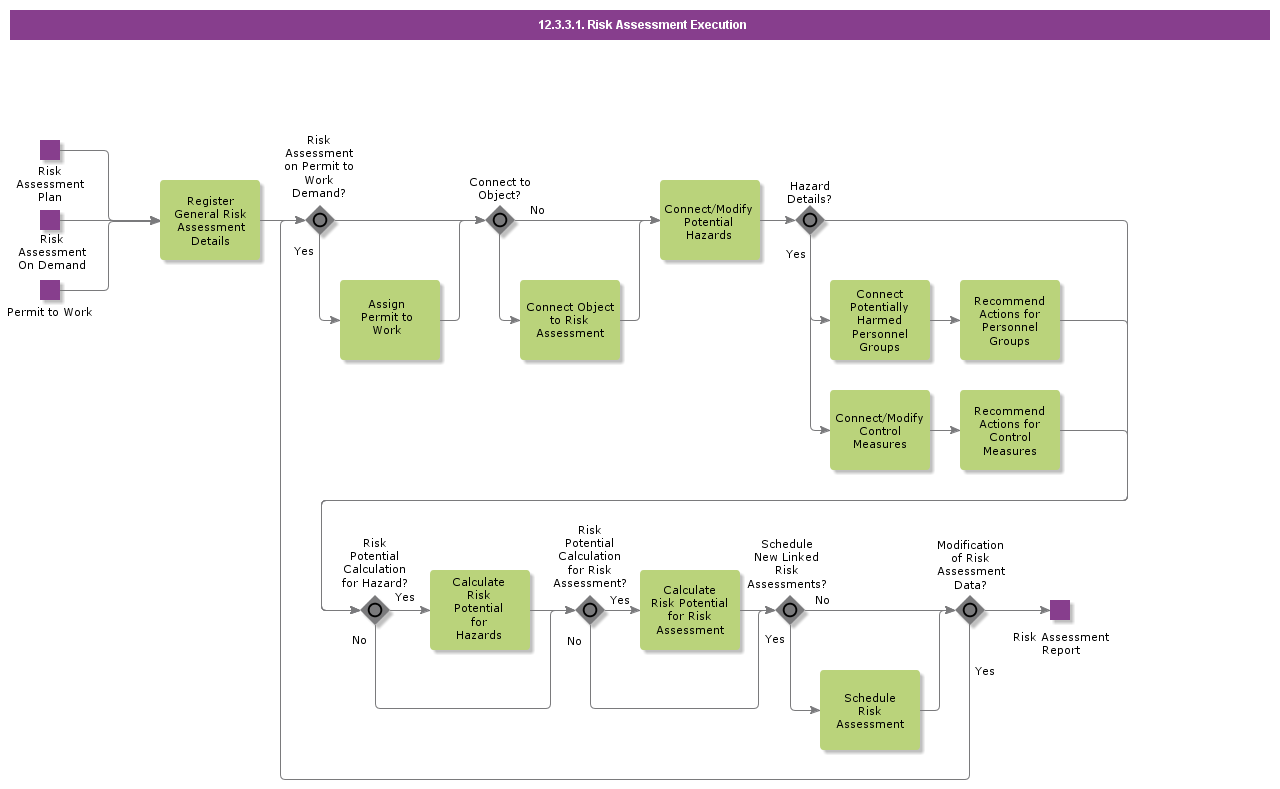 riskassessmentexecution