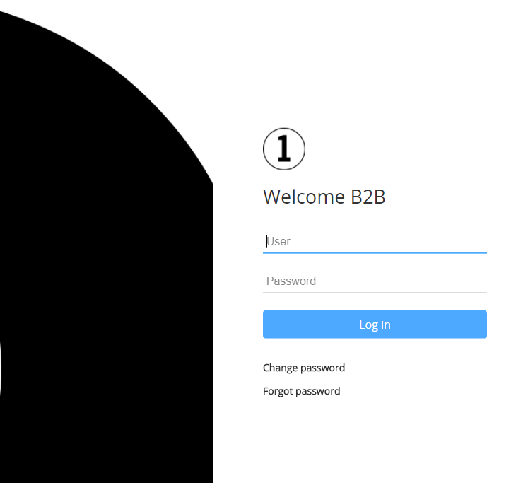 Example custom login page